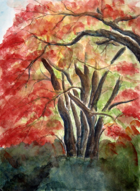 古都大原の紅葉