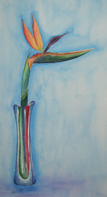 極楽鳥花 (ストレリチア)