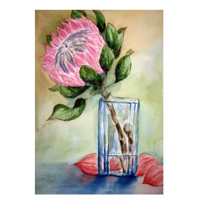 キングプロテア